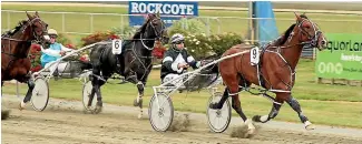  ?? PHOTO: JAMES JUBB ?? Former top pacer Saveapatro­l, pictured here pacing, won as a trotter on the first day of the Nelson meeting.