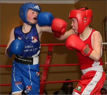  ??  ?? Tiernan Meyler (Gorey Boxing Club, red corner) and Jerry Sheridan (St. Aidan’s Boxing Club, blue corner).