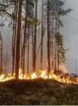  ?? Foto: Mats Andersson, dpa ?? In Schweden wüten derzeit heftige Wald brände.