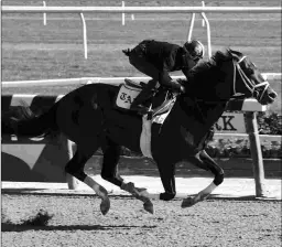  ?? SUSIE RAISHER ?? Forte works five furlongs in 1:00.49 under his regular rider Irad Ortiz Jr. Saturday morning at Belmont Park.