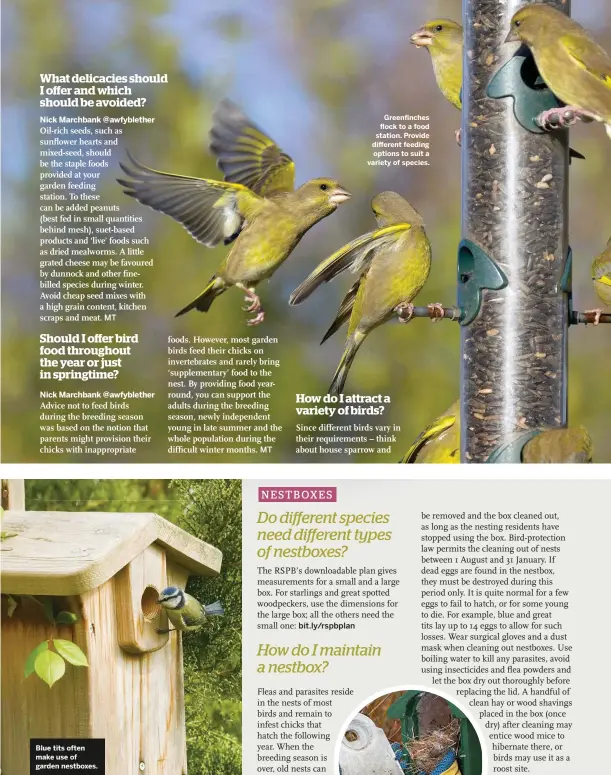  ??  ?? Nick Marchbank @awfyblethe­r
Blue tits often make use of garden nestboxes. 46
MT
Nick Marchbank @awfyblethe­r
MT bit.ly/rspbplan
Greenfinch­es flock to a food station. Provide different feeding options to suit a variety of species.