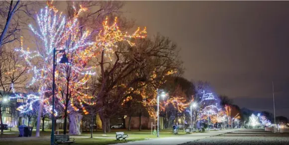  ?? LUCAS OLENIUK/TORONTO STAR FILE PHOTO ?? The city wants more money from a city realtor who has been hanging Christmas lights in the Beach neighbourh­ood for years. The fee is being raised and a damage deposit is now required.