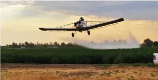  ??  ?? Las aeronaves agrícolas tienen una mayor capacidad de almacenaje de agua y su costo de operación es menor al de un helicópter­o.