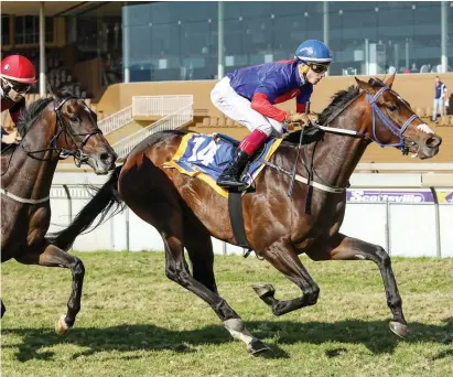  ?? Picture: Gold Circle. ?? WELL WEIGHTED. Shango needed his last run and has a good opportunit­y to get back on a winning track in Race 7 at Turffontei­n tomorrow.