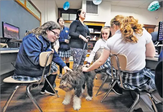  ?? [ERIC ALBRECHT/DISPATCH] ?? Jax, a Portuguese water dog, gets attention from seventh-graders at St. Francis de Sales Catholic School in Newark after he entered their computer class with teacher and librarian Annie Robrecht, shown with student Sofia Laviolette in the background. Petting Jax are, from left, Reagan James, Izzy Bartholome­w and Grace Huffman.