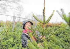  ?? FOTO: DPA ?? Der perfekte Christbaum soll es sein.