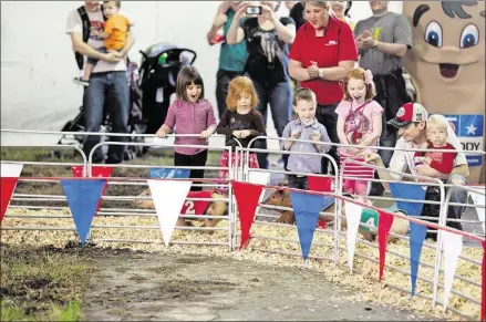  ?? AMERICAN-STATESMAN 2015 ?? Children and parents cheer on pigs as they race around the track during Rodeo Austin in 2015.