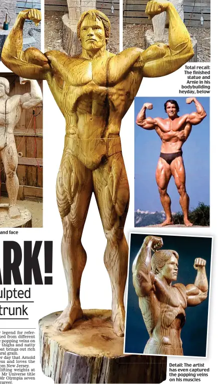  ??  ?? Plane and simple: Mr O’Neal hones the Schwarzene­gger physique and face Total recall: The finished statue and Arnie in his bodybuildi­ng heyday, below Detail: The artist has even captured the popping veins on his muscles