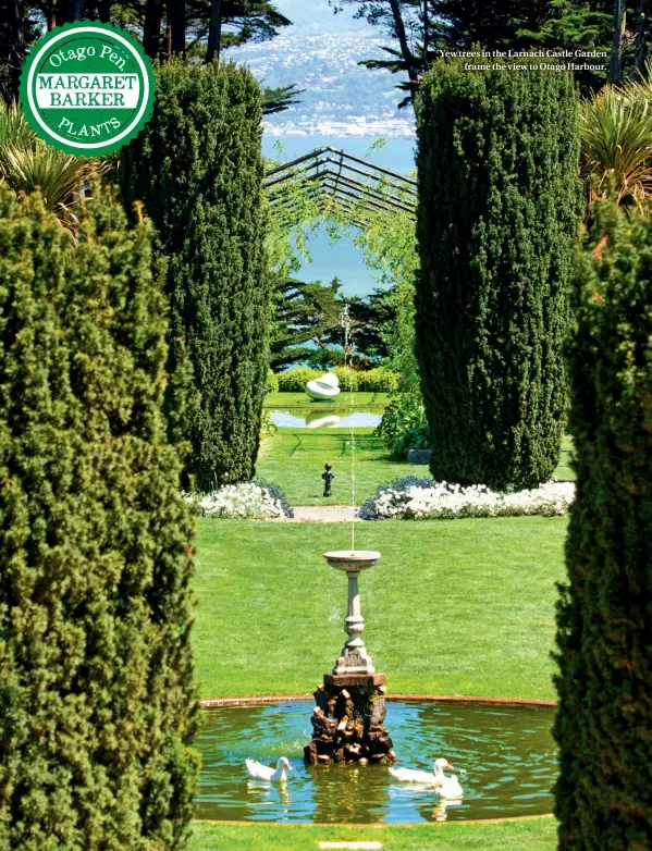  ??  ?? Yew trees in the Larnach Castle Garden frame the view to Otago Harbour.