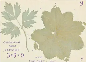  ??  ?? Wangenheim tried to teach his daughter arithmetic with these diagrams