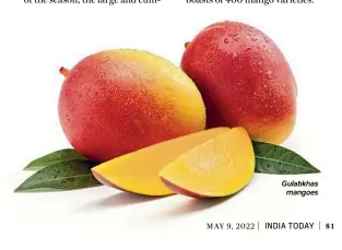  ?? ?? Gulabkhas mangoes