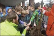  ?? JOSEPH PHELAN — JPHELAN@DIGITALFIR­STMEDIA.COM ?? Second-graders check out the tree that will planted at their school.