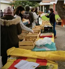  ??  ?? Les étudiants font leur marché