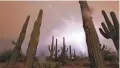  ?? PATRICK BREEN/THE REPUBLIC ?? Lightning strikes behind cactus at the Riparian Preserve at Water Ranch as a storm hits the Valley on July 10, 2021.