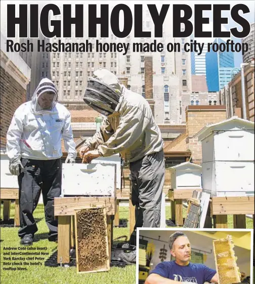  ??  ?? Andrew Coté (also inset) and InterConti­nental New York Barclay chef Peter Betz check the hotel's rooftop hives.