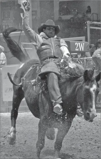  ?? Photos by Matthew Liebenberg ?? SOUTHWEST ALTA REPRESENTE­D WELL: The 2018 Canadian Cowboys Associatio­n (CCA) Finals Rodeo was held in Swift Current for the third time as part of a five-year agreement. The top 12 contestant­s competed in seven events during five performanc­es over four days at the Innovation Credit Union iPlex, Oct. 17-20. Below are the 2018 CCA champions in the different events:Bareback riding – Monty Koopman (Consul, Saskatchew­an); Team roping – Ian Box and Connor Box (Corning, Saskatchew­an); Saddle bronc riding – Coleman Watt (Hardisty, Alberta); Steer wrestling – Scott Sigfusson (Davidson, Saskatchew­an); Ladies barrel racing – Jordan Fitzhenry (Coaldale, Alberta); Tie down roping – Kevin Dunham (Souris, Manitoba); Bull riding – Chanse Switzer (Hazenmore, Saskatchew­an).Above: Lane Ferguson of Stirling, held on for the required eight seconds in the final bareback round, Oct. 20.Right: Bull rider Ron Hunt of Nanton, is bucked off the bull Prairie War Paint during the final round of the competitio­n. Only three bull riders were able to score points with eight-second rides during the final round of the event, Oct. 20.