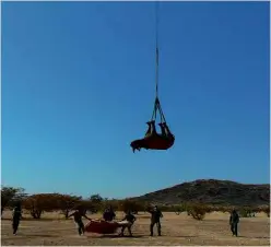  ?? ?? ABOVE:
It turns out that the best way of airlifting a tranquilli­sed rhino is upside down.