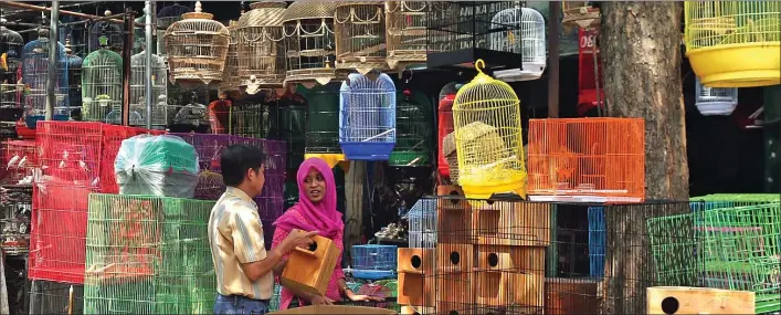  ??  ?? Tempat Jujukan Penghobi dan Kolektor Burung-Ikan