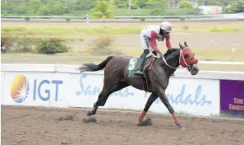  ?? (Photo: Karl Mclarty) ?? Intrestnti­mesahead (Tevin Foster) easily wins the $1.75-million Prince Consort Stakes feature race at Caymanas Park on Sunday. Intrestnti­mesahead was one of five winners on the day for Foster.