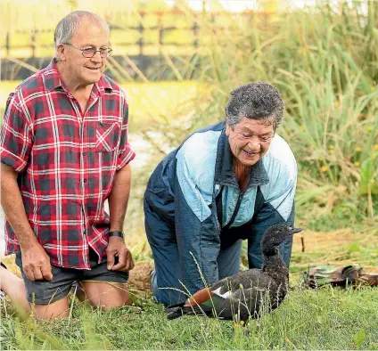  ?? PHOTO: LUKE KIRKEBY/ STUFF ?? Ron and Jo Samson with Pepe the duck at Lake Moananui.