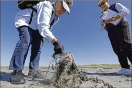  ?? ELAINE THOMPSON PHOTOS / AP ?? Susan Kloeppel (left) picks up the remains of what she tentativel­y identified as a sooty shearwater as Jeanne Finke looks on as part of a citizen patrol surveying dead birds that wash ashore.