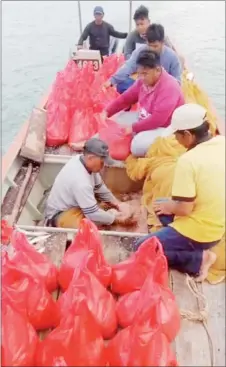  ??  ?? Derahim and fellow fishermen move to the beach in Tanjung Batu to sell their catch.