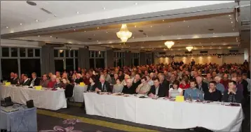  ??  ?? Delegates from acorss County Wexford at the Wexford GAA Convention at the Ferrycarri­g Hotel.