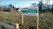  ??  ?? This vacant lot in Detroit has been replanted with pennycress, a cover crop that is considered suitable for conversion to biofuel. Many cities are clearing vacant lots as a way to fight crime as well as blight. (The Associated Press)