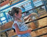  ?? LAUREN HALLIGAN — LHALLIGAN@DIGITALFIR­STMEDIA.COM ?? Three-year-old Rosa of Hoosick Falls pets a sheep on Labor Day 2018at The Schaghtico­ke Fair.