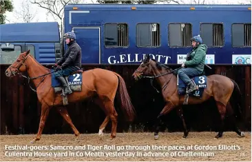  ?? PA ?? Festival-goers: Samcro and Tiger Roll go through their paces at Gordon Elliott’s Cullentra House yard in Co Meath yesterday in advance of Cheltenham