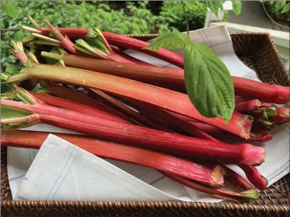  ?? NANCY LINDAHL — CONTRIBUTE­D PHOTOS ?? Rhubarb — the harbinger of spring.