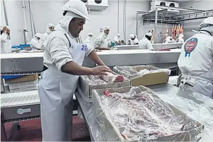  ?? (LA VOZ) ?? Eslabón. La venta de carne de cerdo, al mercado interno y a la exportació­n, cierra el círculo en Qualitá.