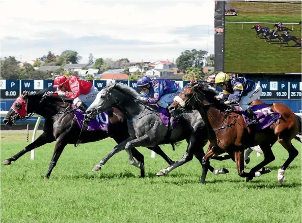  ??  ?? El Soldado scores an upset Avondale Cup win to lay claims to back-to-back Auckland Cup victories.