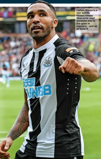  ?? ?? Callum Wilson is a star but his fitness means Newcastle need someone else to fire goals in regularly – and we all know it