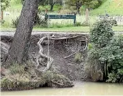  ?? MARTIN DE RUYTER/STUFF ?? The rope swing at the Black Hole on the Maitai River will be removed after flooding eroded the bank beneath the tree.