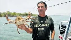  ?? MARGO PFEIFF ?? Captain Jackie with a freshly caught crab on the Snorkel With the Chef cruise, one of many activities available at Belcampo Belize.