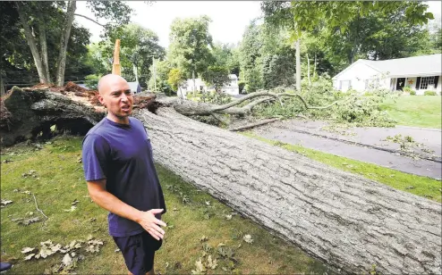  ?? Matthew Brown / Hearst Connecticu­t Media ?? Tyler Maloney surveys the damage from a fallen tree at home on Bertmor Drive in Stamford on Saturday. The tree fell during Tropical Storm Isaias, cutting power and access to his neighborho­od. Maloney and several of his neighbors are upset and concerned over the lack of response from both Eversource and city officials in clearing the tree and opening up the roadway.