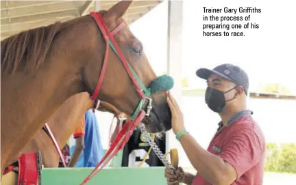  ??  ?? Trainer Gary Griffiths in the process of preparing one of his horses to race.