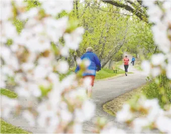  ?? AZIN GHAFFARI ?? Calgarians did reasonably well in adhering to social distance guidelines this weekend, the city said. Above, people spend the overcast afternoon on Elbow River Pathway on Tuesday.