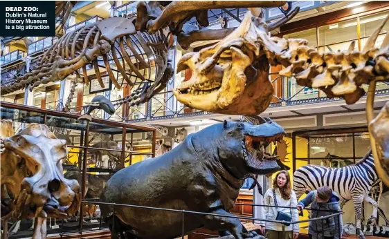  ??  ?? DEAD ZOO: Dublin’s Natural History Museum is a big attraction