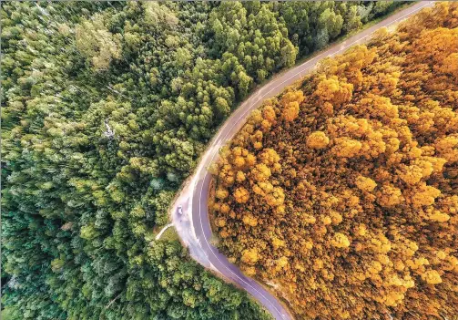  ?? PHOTOS PROVIDED TO CHINA DAILY ?? A view of Tasmania, Australia, shot by Liu Xiaoxiao.