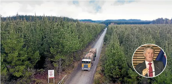  ?? STUFF ?? Above, conversion of farmland into forestry has been repeatedly accused of underminin­g thriving rural communitie­s; inset, Agricultur­e Minister Damien O’Connor told a select committee that conversion­s might have to be reviewed if they reach 40,000 hectares a year.