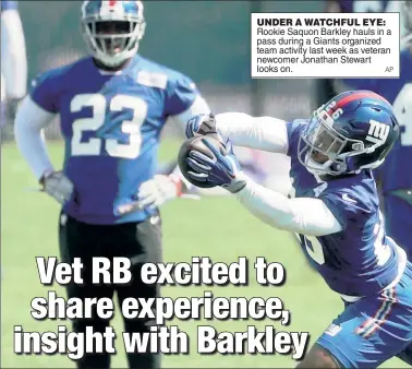  ?? AP ?? UNDER A WATCHFUL EYE: Rookie Saquon Barkley hauls in a pass during a Giants organized team activity last week as veteran newcomer Jonathan Stewart looks on.