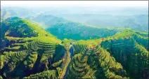  ?? FENG SHUAI / FOR CHINA DAILY ?? The Lyuliang Mountains are greener as a result of local residents’ work to plant trees.