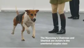  ??  ?? The Wynnstay’s Chairman and Sherlock are victors in the unentered couples class