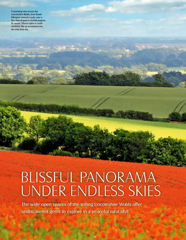  ??  ?? A sweeping view across the Lincolnshi­re Wolds, from South Elkington towards Louth, over a flax field draped in scarlet poppies. St James’ Church spire in Louth stretches like an arrowhead into the wide blue sky.