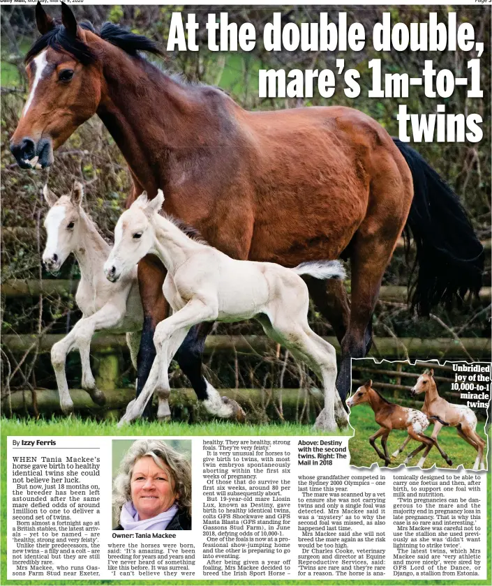  ??  ?? Above: Destiny with the second twins. Right: The Mail in 2018 Unbridled joy of the 10,000-to-1 miracle twins