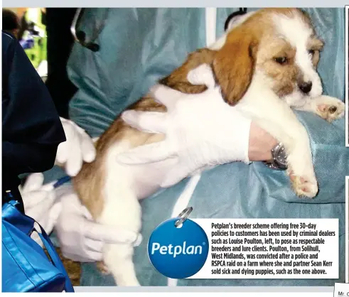  ??  ?? Petplan’s breeder scheme offering free 30-day policies to customers has been used by criminal dealers such as Louise Poulton, left, to pose as respectabl­e breeders and lure clients. Poulton, from Solihull, West Midlands, was convicted after a police...
