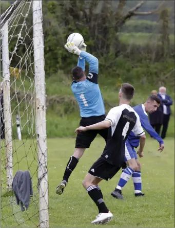  ??  ?? Newtown United goalkeeper Lee Fitzpatric­k gathers the ball ahead of Danny Byrne of Ashford Rovers.