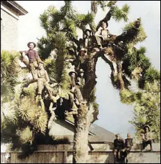  ?? COURTESY PHOTO ?? This is the rear yard of the Lancaster Grammar School.